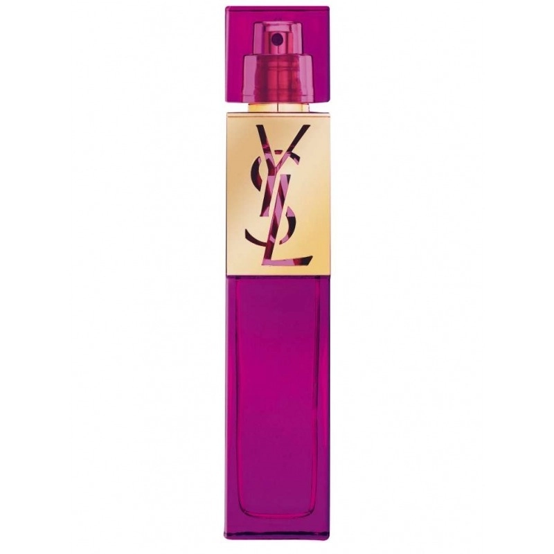 Фото Yves Saint Laurent Elle