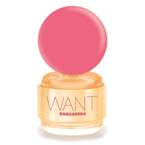 Фото Dsquared2 Want Pink Ginger