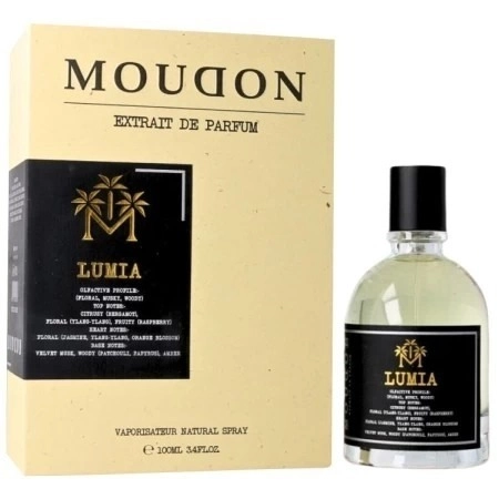 Фото Moudon Lumia