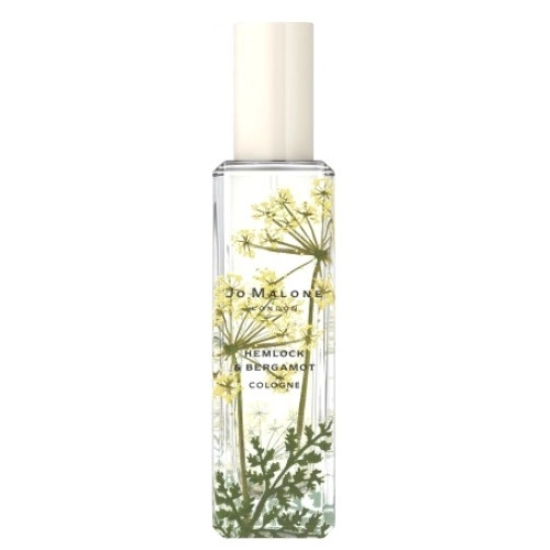 Фото Jo Malone Hemlock & Bergamot