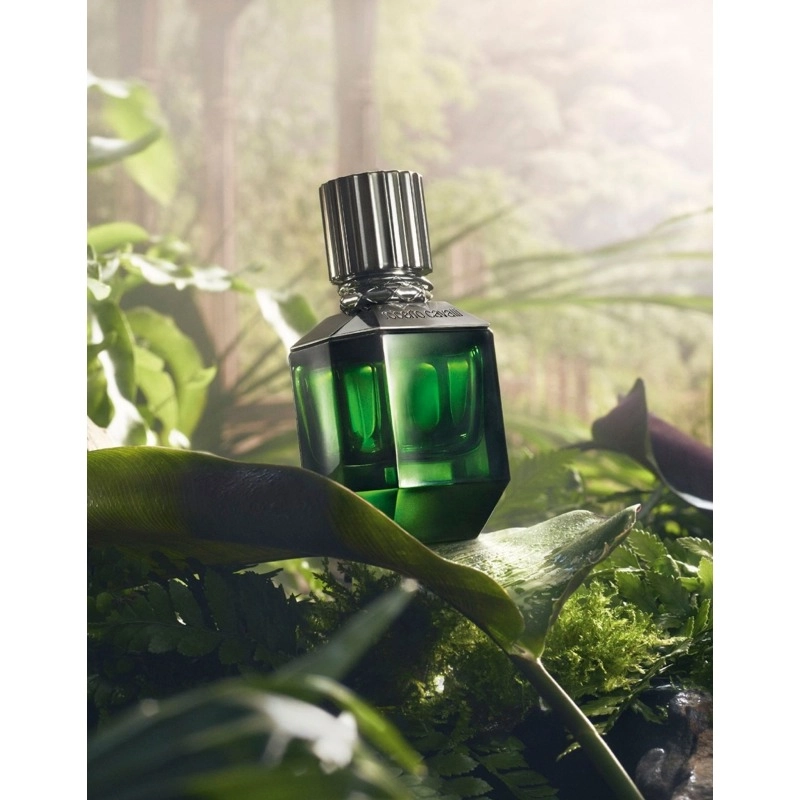 Фото Roberto Cavalli Paradise Found For Men