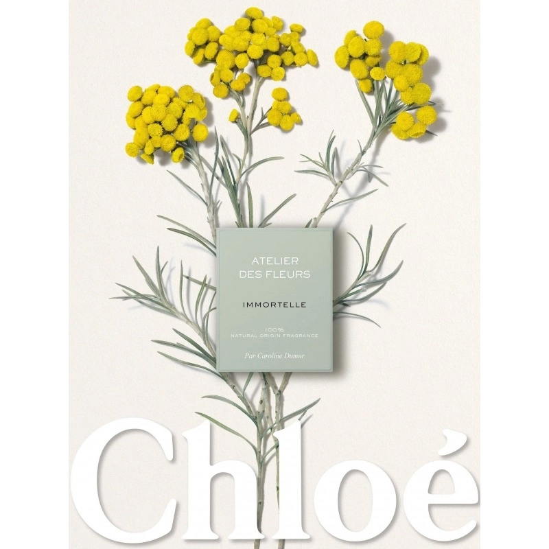 Фото Chloé Atelier Des Fleurs Immortelle