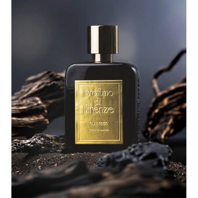 Фото Profumo di Firenze Plumbeo