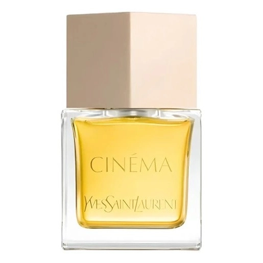 Фото Yves Saint Laurent Cinema 2024
