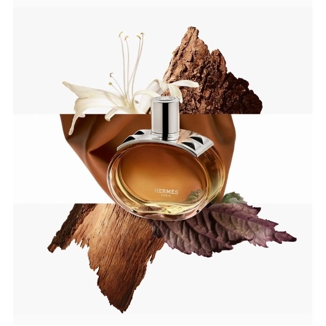 Фото Hermès Barenia Intense