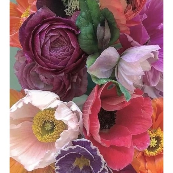 Фото Onno Fresh Bouquet