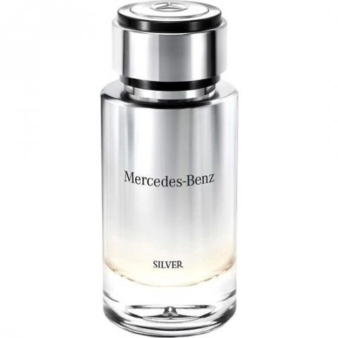 Фото Mercedes-Benz Silver