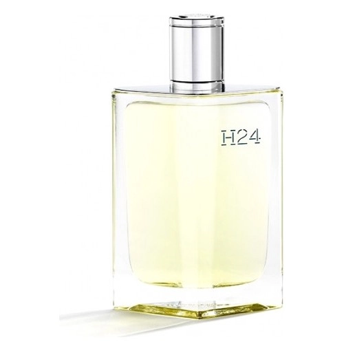 Фото Hermès H24