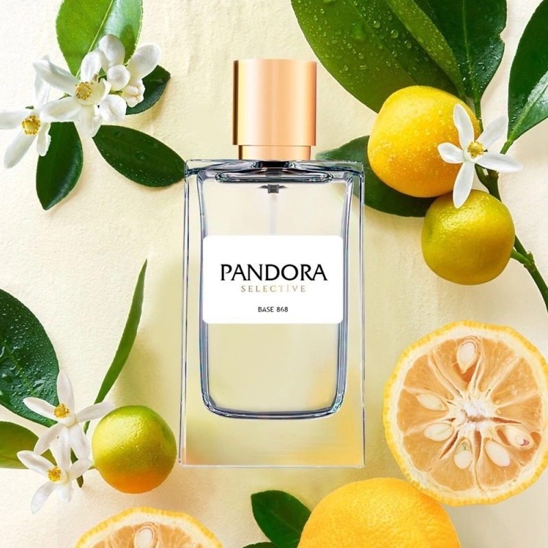 Фото Pandora Selective Base 868