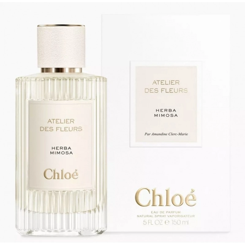Фото Chloé Atelier Des Fleurs Herba Mimosa