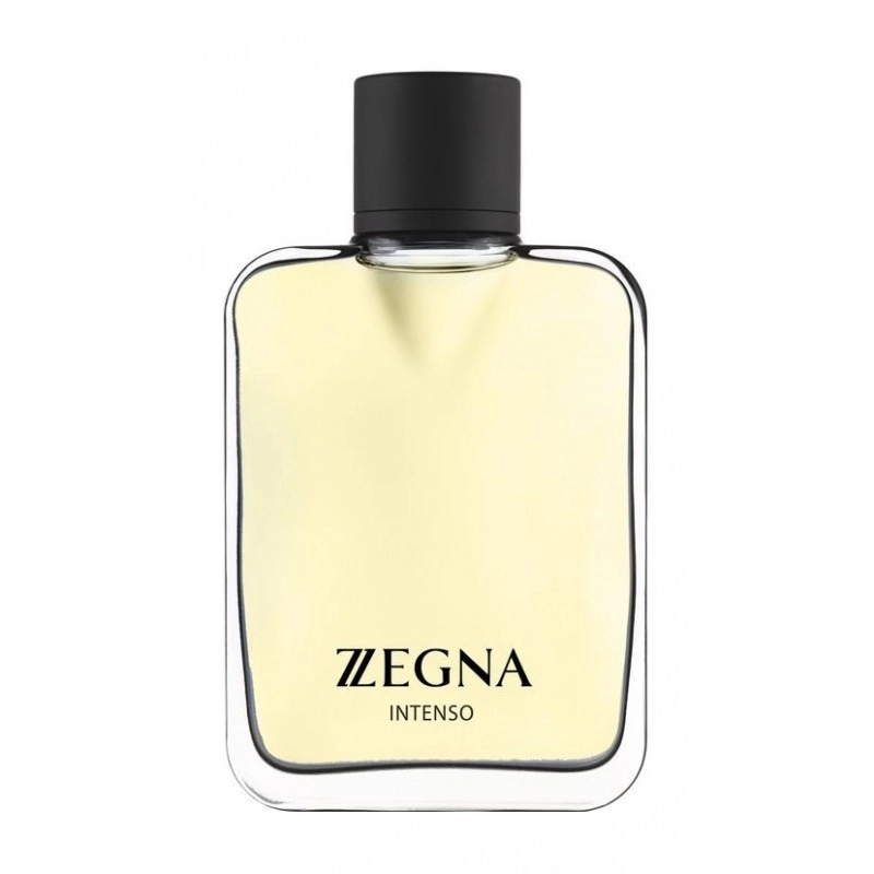 Фото Ermenegildo Zegna Z Zegna Intenso