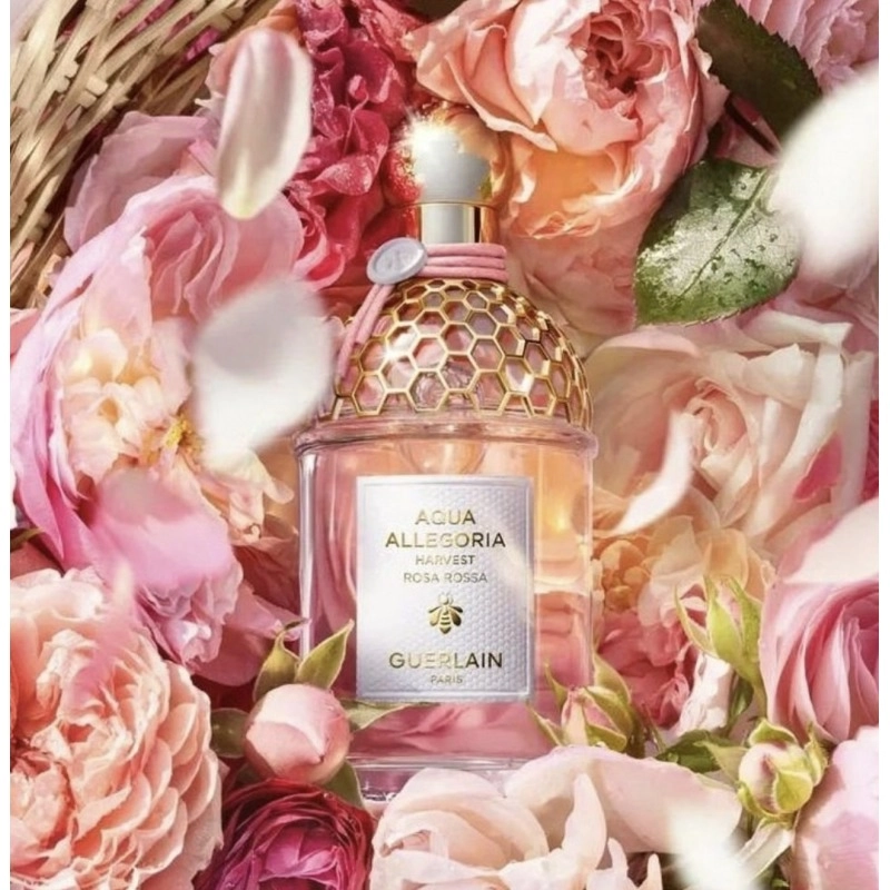 Фото Guerlain Rosa Rossa Harvest