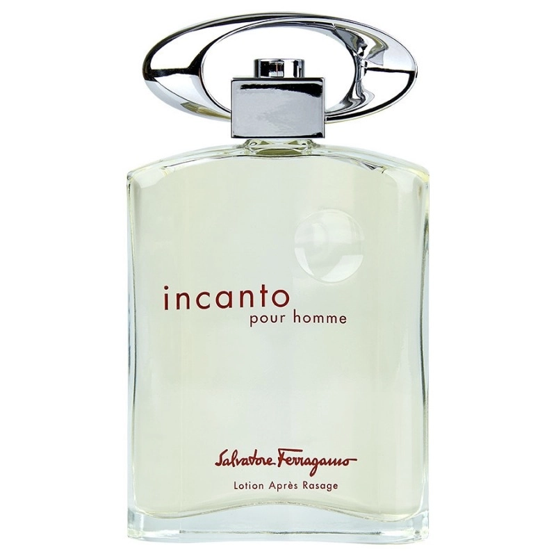 Фото Salvatore Ferragamo Incanto pour Homme