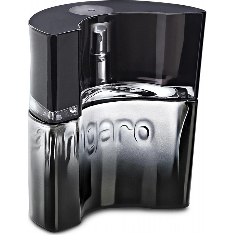 Фото Emanuel Ungaro Masculin