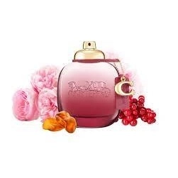 Фото Coach Wild Rose