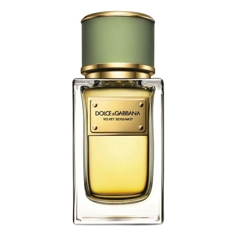 Фото Dolce & Gabbana Velvet Bergamot