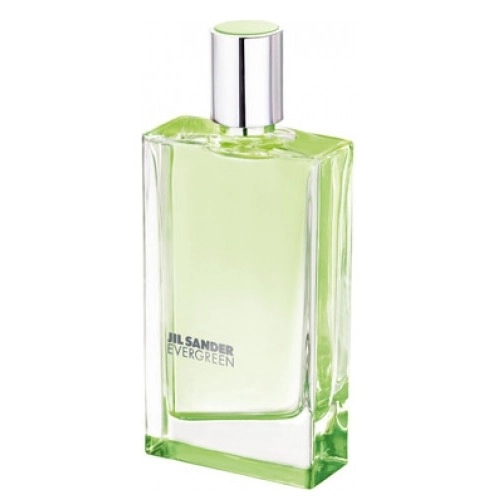 Фото Jil Sander Evergreen