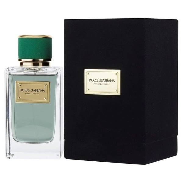 Фото Dolce & Gabbana Velvet Cypress