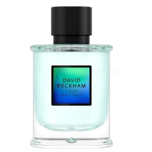 Фото David Beckham True Instinct