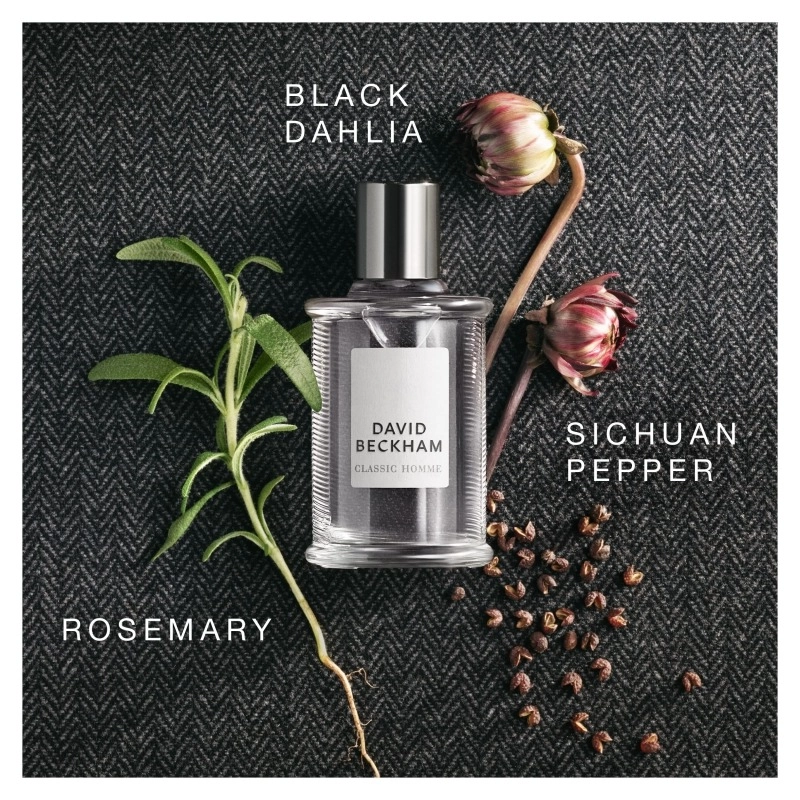 Фото David Beckham Classic Homme