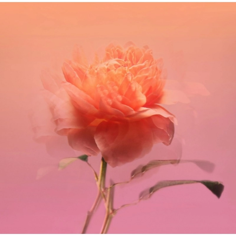 Фото BDK Parfums Impadia
