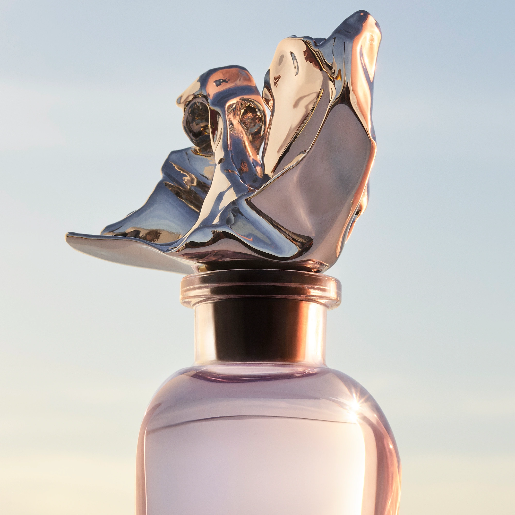 Фото Louis Vuitton Symphony