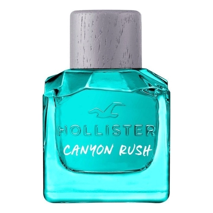 Фото Hollister Canyon Rush For Him