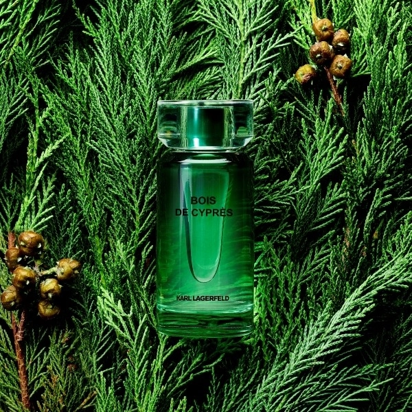 Фото Karl Lagerfeld Bois De Cypres