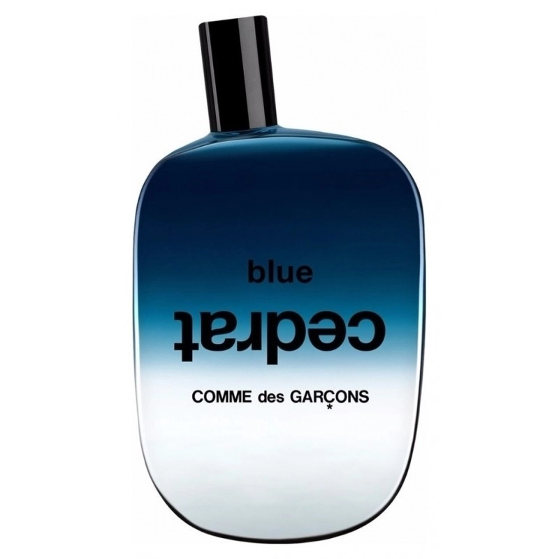 Фото Comme des Garçons Blue Cedrat