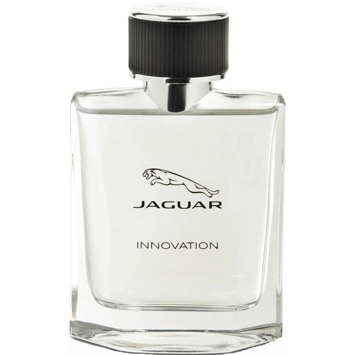 Фото Jaguar Innovation