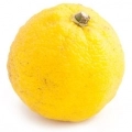 Юдзу