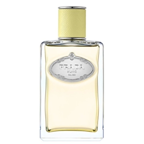 Фото Prada Infusion de Gingembre