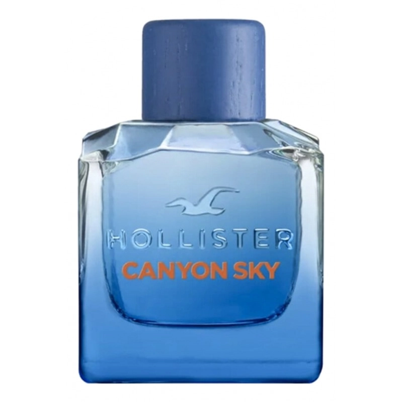 Фото Hollister Canyon Sky For Him