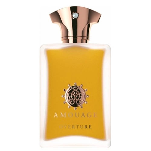 Фото Amouage Overture Man