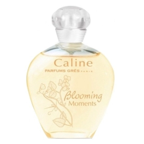 Фото Grès Caline Blooming Moments