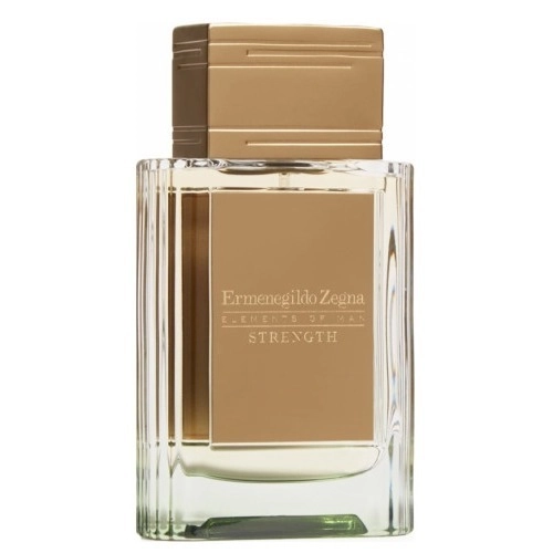 Фото Ermenegildo Zegna Strength