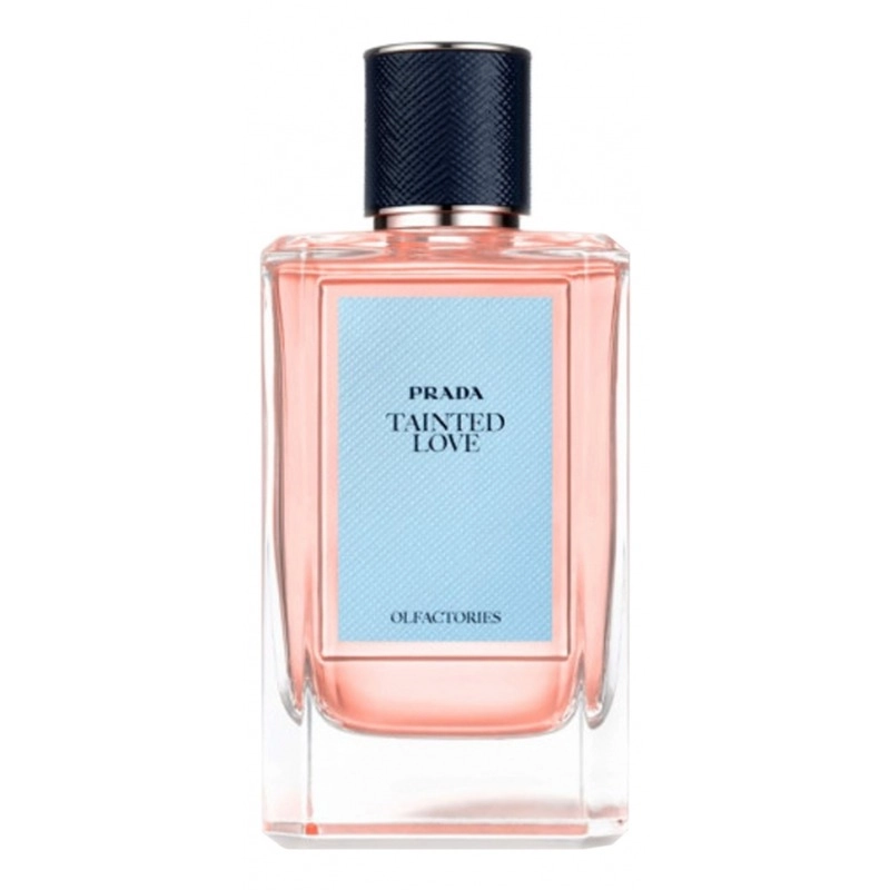 Фото Prada Tainted Love