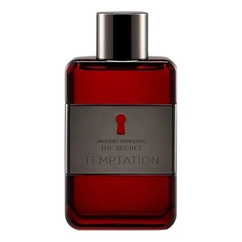 Фото Antonio Banderas The Secret Temptation