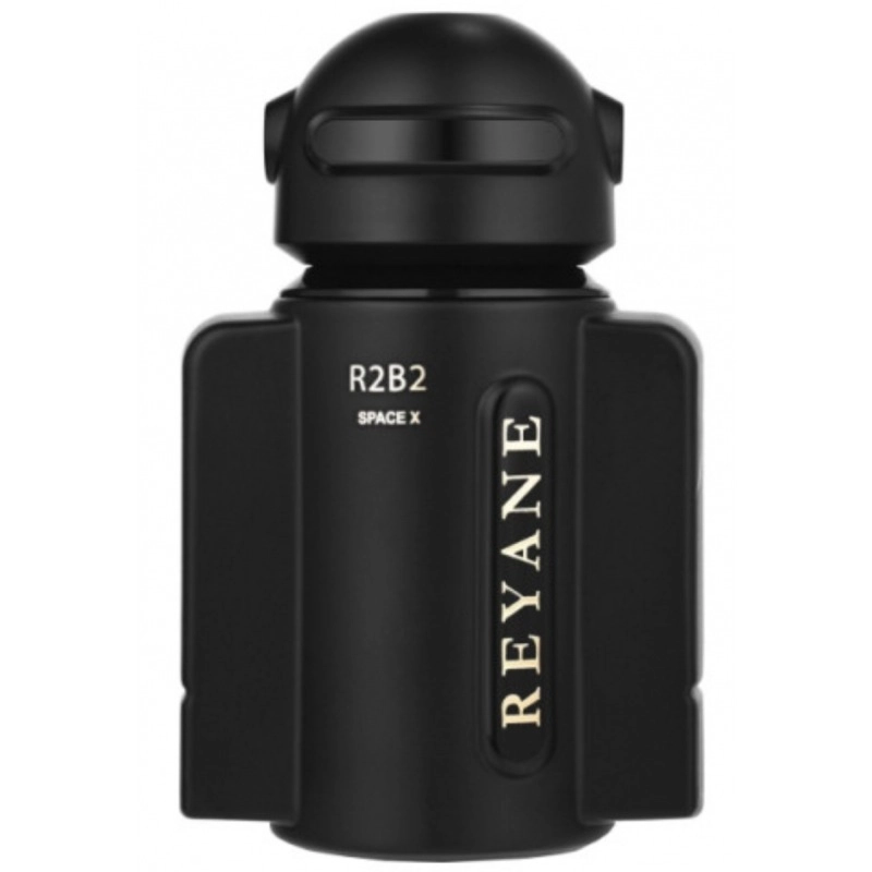 Фото Reyane R2B2 Space X