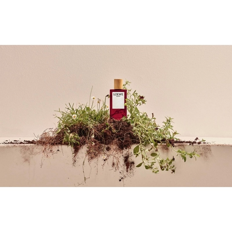 Фото Loewe Earth