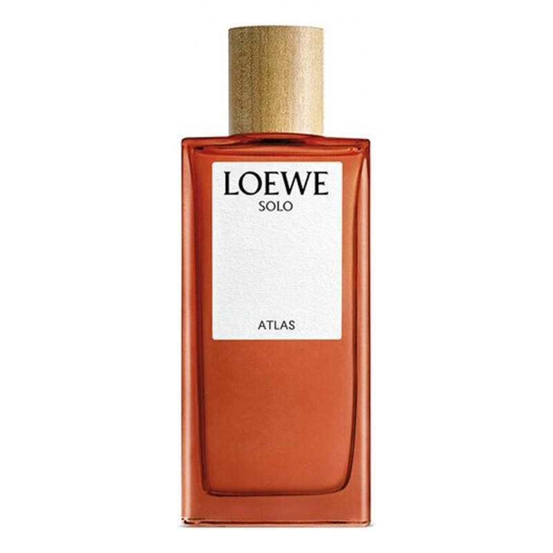 Фото Loewe Solo Atlas
