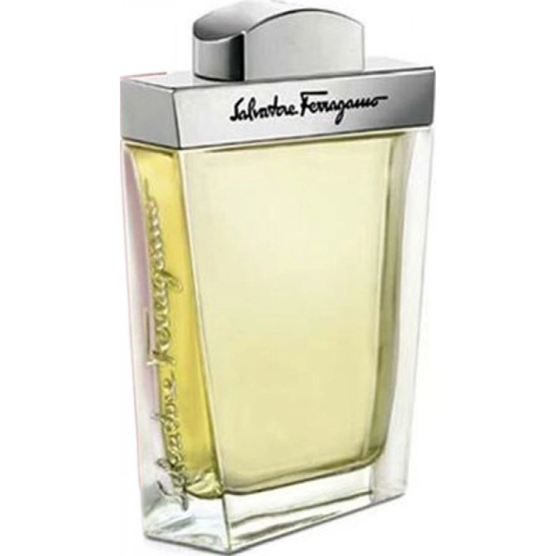 Фото Salvatore Ferragamo pour Homme