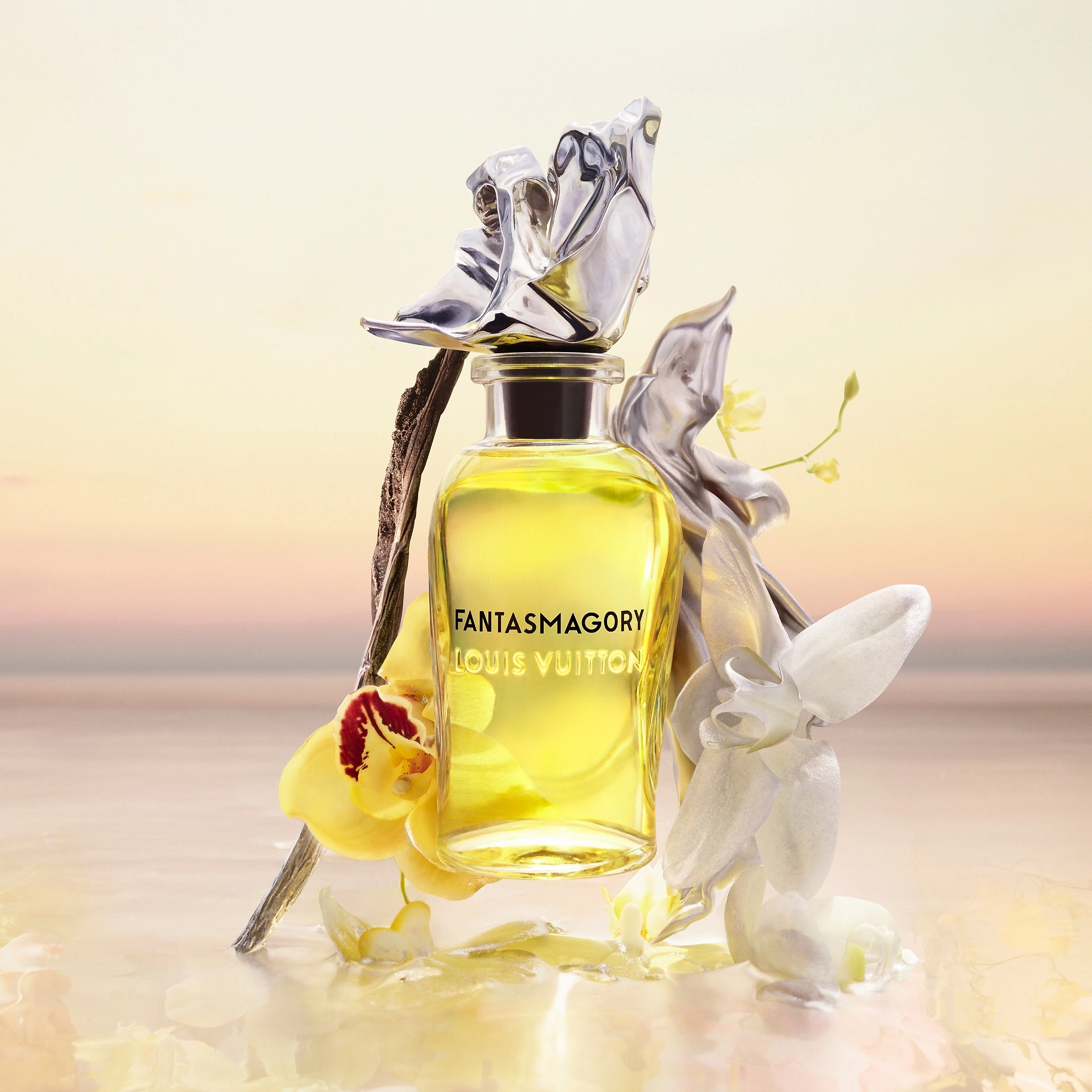 Фото Louis Vuitton Fantasmagory