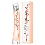 Kenzo Flower Ikebana Mimosa парфюмерная вода 75 мл