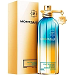 Montale So Iris Intense парфюмерная вода 100 мл