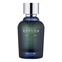 Nicheend Saturn