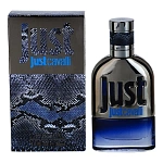Roberto Cavalli Just Cavalli 2013 Him туалетная вода 30 мл