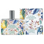Fragonard Fleur De Citronnier туалетная вода 50 мл (коробка без слюды)