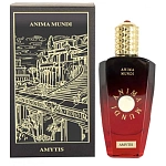 Anima Mundi Amytis духи 75 мл