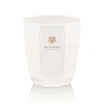 Dr. Vranjes Firenze Ginger Lime свеча 80 г